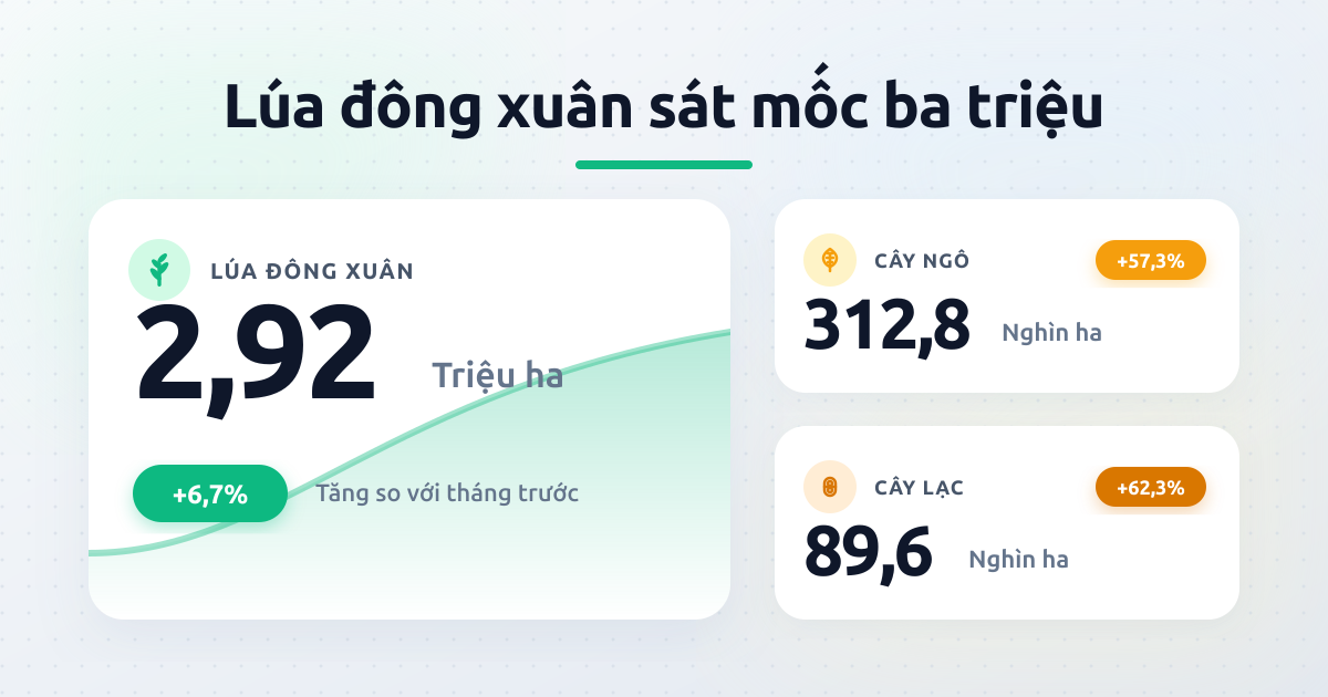 Lúa đông xuân tháng 3/2026 đạt gần 2,92 triệu ha